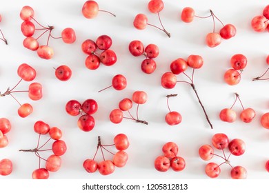 Autumn, fall concept. Pattern made of autumn berries, small apples on white background. Flat lay, top view, copy space