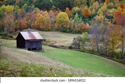 Autumn Fall Foliage In New England