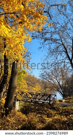 autumn fall foliage steel black foot bridge