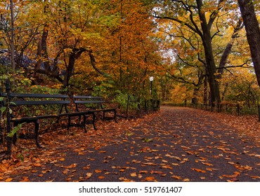 34,891 Central park fall Images, Stock Photos & Vectors | Shutterstock