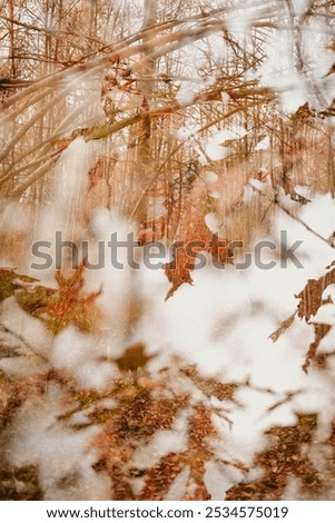 Similar – Cold autumn day Frame