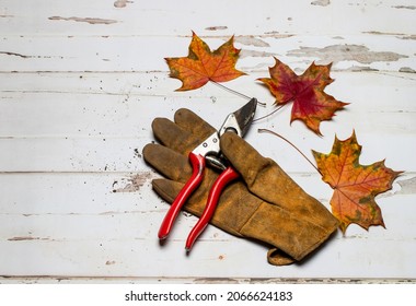 Autumn Fall Leaves With Garden Tools On A Wooden Garden Bench Suggest Fall Pruning And Clean Up Chores