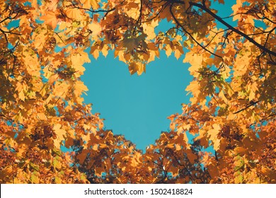 Autumn Fall Love Background. Orange And Yellow Leaves In Heart Shape Of Background Of Blue Sky. Heart-shaped Sky Through Autumn Trees In The Park.