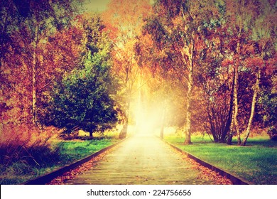 Autumn, Fall Park. Wooden Path Towards The Sun. Colorful Leaves, Romantic Aura And Concepts Of New Life, Hope, Way To Heaven.