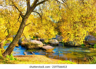 Autumn fall in park with yellow leaves trees - Powered by Shutterstock
