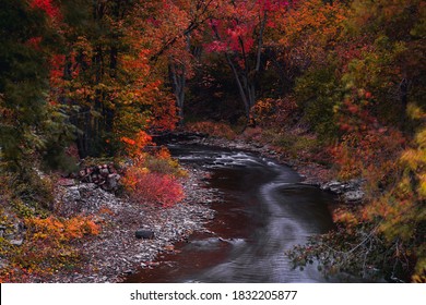 Autumn And Fall Scenic Landscapes Of The Greater Napanee And Kingston Areas Featuring Forests Of Maple And Oak Along With Abandoned Homes And Rural Scenes Of Waterscapes And Arial Photography.