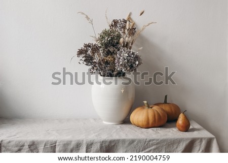 Autumn, fall still life. Big ceramic vase with dry hydrangea flowers, grass boho bouquet. Orange pumpkins and pear fruit on linen table cloth. White wall background. Halloween, Thanksgiving holiday.