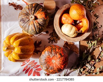 Autumn Fall Vibes Top Down View Of Colorful Squashes And Pumpkins On A Table