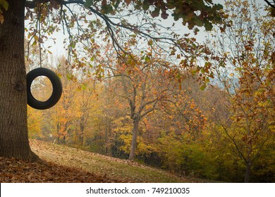 Autumn, Fall View With Tire Swing And Trees. Perfect Seasonal Thanksgiving Background, With Copyspace. 