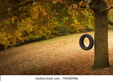 Autumn, Fall Woodland Scenery With A Black Tire Swing Hanging From An Oak Tree. Rustic, Seasonal Thanksgiving Background, With Copyspace. 