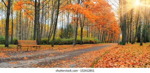 Autumn falling leaves in a city park - Powered by Shutterstock