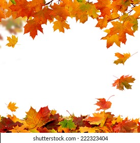 Autumn Falling Leaves Isolated On White Background