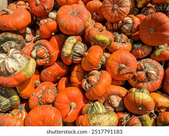 Autumn Farm Market Harvest Michigan Farmers Market USA - Powered by Shutterstock