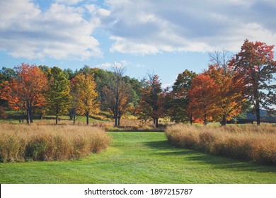 Autumn Fields At Storm King In New Windsor, New York