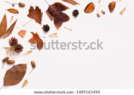Autumn flat lay of brown fallen leaves on white background with space for creative text