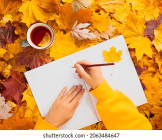 Autumn flat lay - colorful autumn leaves, a cup of tea with lemon, clean week planner, female hands in a yellow hoodie, pencil in hand.