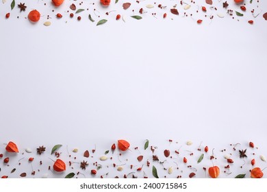 Autumn flat lay composition with physalis and berries on white background. Space for text