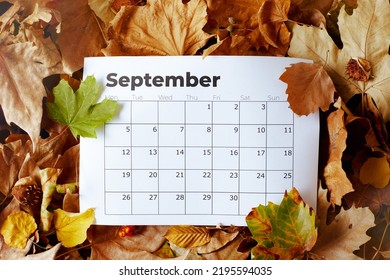autumn flat lay with September calendar and leaves. - Shutterstock ID 2195594035