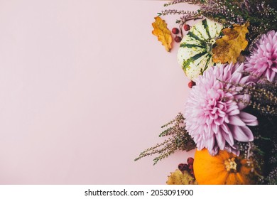 Autumn flat lay. Stylish pumpkins, purple dahlias flowers, leaves and heather on pink background. Modern minimal fall border with space for text. Happy Thanksgiving and Halloween card