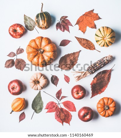 Autumn still life with pumpkin and leaves