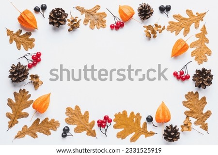 Autumn floral background oak leaves cones flowers berries arranged in frame on white background copy space