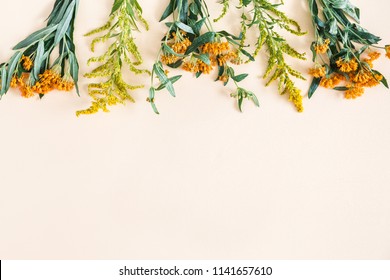 Autumn floral composition. Border made of fresh flowers on pastel beige background. Autumn, fall concept. Flat lay, top view, copy space