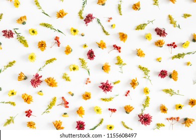 Autumn Floral Composition. Pattern Made Of Fresh Flowers On White Background. Autumn, Fall Concept. Flat Lay, Top View