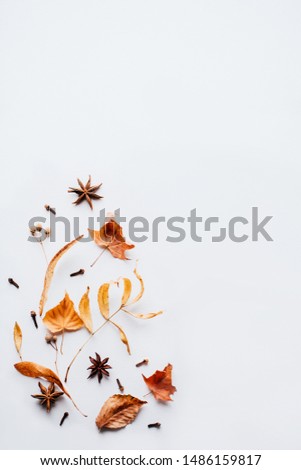 Similar – Autumn leaves with watering can and garden tools