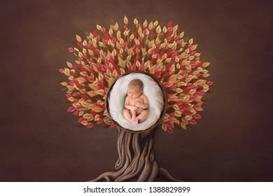 Autumn floral newborn portrait in basket round form. Photo- manipulations