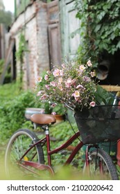 Autumn Flowers In The Cottage Garden