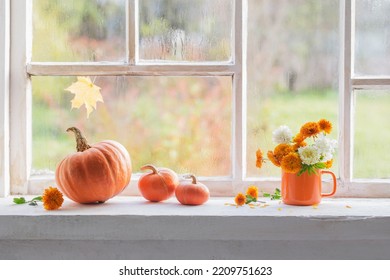autumn flowers and pumpkins  on old white windowsill - Shutterstock ID 2209751623