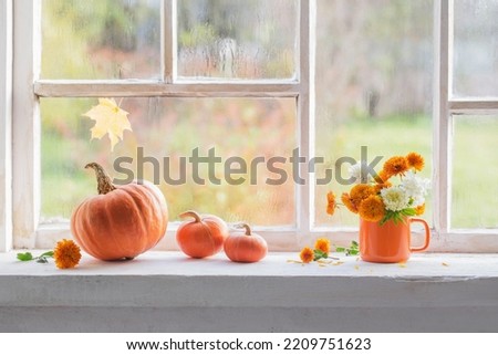 autumn flowers and pumpkins  on old white windowsill