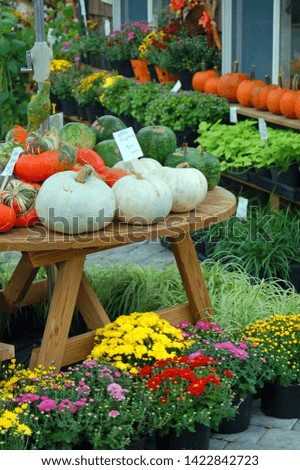 Autumn flowers and squash are for sale at a roadside farm in Lancaster County, Pennsylvania