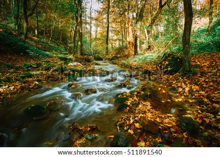 Autumn flowing stream