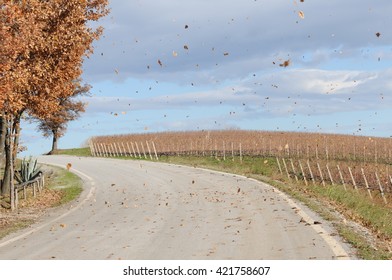 Autumn Flying Leaves By The Vineyard