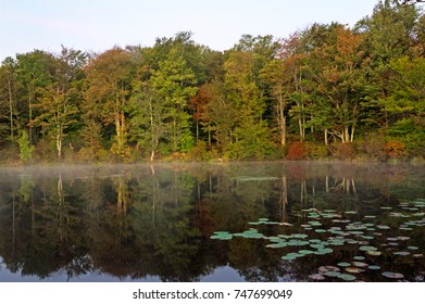 Autumn Fog On A Golden Pond.  Destination Gouldsboro State Park In Pennsylvania 
