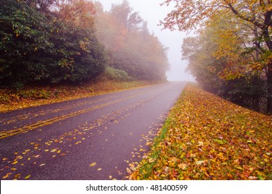 autumn foggy day along blue ridge parkway