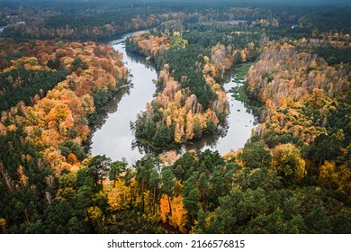 Autumn Foggy Forest And Winding River, Aerial View Of Poland, Europe