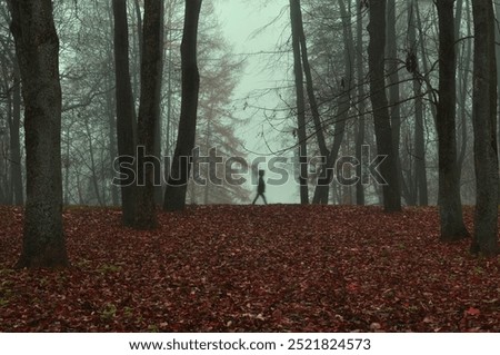 Similar – Image, Stock Photo darkness Dark somber