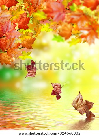 Similar – Image, Stock Photo autumn foliage Environment