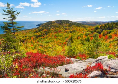 Autumn Foliage In Acadia National Park, Maine, USA