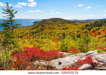Autumn Foliage in Acadia National Park, Maine, USA
