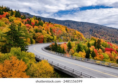 Autumn foliage along the Blue Ridge Parkway in North Carolina - Powered by Shutterstock