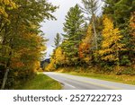 Autumn foliage along Newfound Gap Road at Great Smoky Mountains National Park.