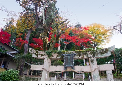 Autumn Foliage At Arima Onsen In Kobe Japan