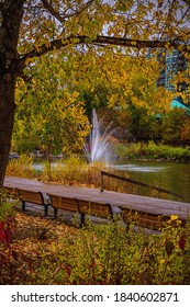 Autumn Foliage In A Calgary Park