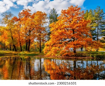 Autumn foliage in Catherine park, Pushkin, Saint Petersburg, Russia - Powered by Shutterstock