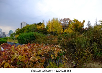 Ewha University Stock Photos Images Photography Shutterstock