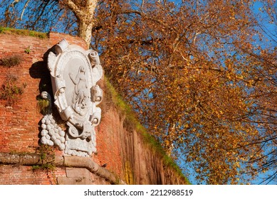Autumn and foliage in Lucca. Anciet city walls Saint Mary Bulwark with sycamore autumnal leaves - Shutterstock ID 2212988519