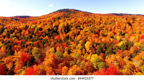 Autumn Foliage in Maine Forest with Brilliant Red and Orange Leaves - Aerial Shot From Newry, Maine, USA